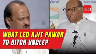Explained: What Led Ajit Pawar To Ditch Uncle Sharad?