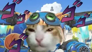 Overwatch Cat with Jetpack 