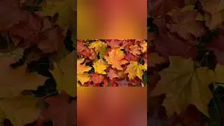 How to create an autumn plane tree leaf using silver, stone, and mosaic technique?