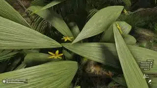 Green Hell Indonesia- Spirit Of Amazonia Multiplayer ( No Commentary) Part 1