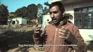Nepal  Integrated Pest Management