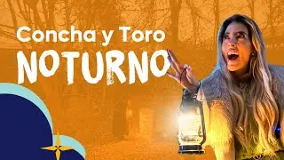 Concha y Toro Noturno | Uma experiência mega diferente na vinícola mais tradicional do Chile