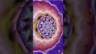 Mesmerizing Spiral Kaleidoscope Lo Fi Visual Bliss #illusion #illusions #spiral #lofi #relaxing