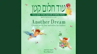 השאר ער