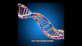 &iexcl;&iexcl;el &oacute;rgano que puede regenerarse el h&iacute;gado!! #curiosidades #viral