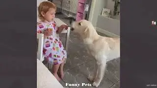 The Dog Never Takes a Break From Its Defense Duty for the Tiny Owner! 😂