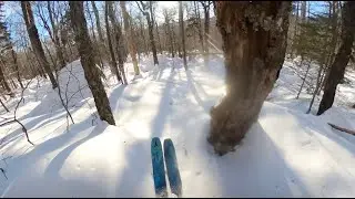 Skiing Wildcat Valley Trail to Hall's Ledge Hiking Trail