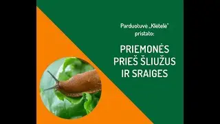 Užpuolė &scaron;liužai ir sraigės. Kokias priemones naudoti?