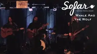 Whale And the Wolf - Touch | Sofar Edmonton