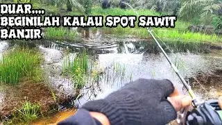 CASTING DI SAWIT KIU 1 DAN KIU 2 //CASTINGIKANGABUS