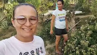 DISCANDO MACAXEIRA  P MASSA BUBA +GALINHA PRETINHA DESAPARECIDA