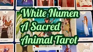White Numen A Sacred Animal Tarot by Liminal 11| Unboxing and First Impressions Walkthrough