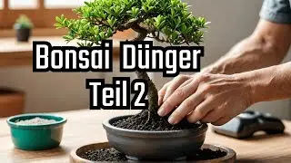 Bonsai Pflege für Anfänger: Dünger in Theorie & Praxis / Teil 2