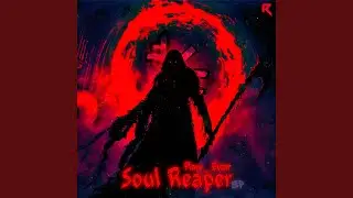 Soul Reaper