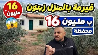 	16 مليون وتشري فيرمة محفظة فيها زيتون ومنزل ففاس 🌿🏡	•	فيرمة صغيرة محفظة بزيتون ومنزل قانوني ففاس 🔥
