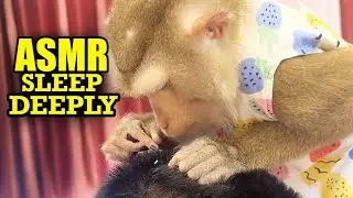 ASMR Monkey Grooming | Relaxing Tingly Mouth Sounds for Deep Sleep