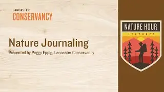 Nature Hour: Nature Journaling