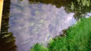 DSCF0365