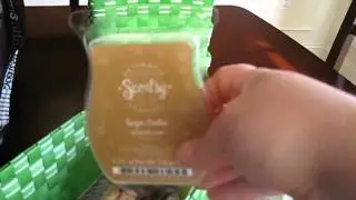 Scentsy business Supplies