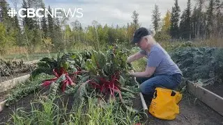 Fort Smith growers say new permit rules create barriers for local food producers