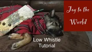 Joy to the World | Low Whistle Tutorial