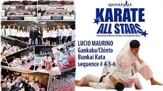 Lucio Maurino teaching Gankaku/Chinto Bunkai sequence # 2 & 3 - Karate All Stars 2013