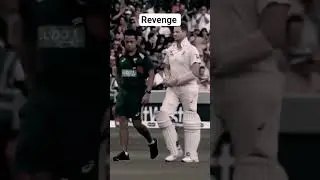 Steven Smith injures comes to win #trending #cricket #stivesmith #shortsfeed