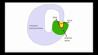 Consciousness : Role Of DNA