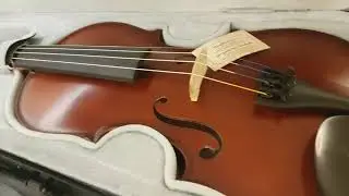 Violino da Studio Aspirante GEWA - Amadeus Strumenti Musicali