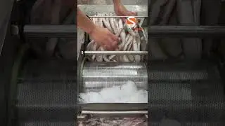 #Fish and meat harvesting machine # Fish and meat harvesting machine, bone and meat separation machi