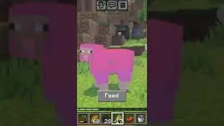 OMG PINK SHEEP 😱😱😱😱😱😱😱 #music #slowedandreverb #edit MINECRAFT