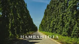 Hidden Gems of Sri Lanka | Mirijjawila Garden | Ussangoda Beach | Hambantota Tourist Places