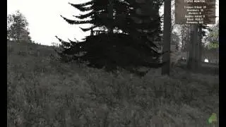 OLD FIELDS