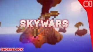 Skywars // #1 // ''WTF Skin'' (Vikkcraft Server)