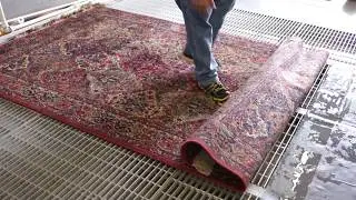 Can a Carpet cleaner remove the urine odor from a Turkish carpet?