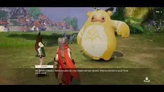 noah's heart- sword and shield class