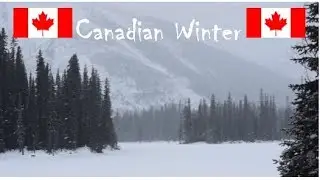 Canadian Winter (Nature Therapy)