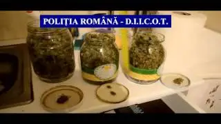AR CANNABIS
