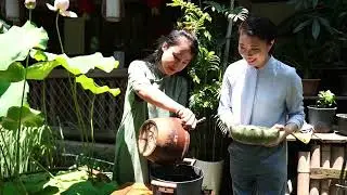 The Production Process of Grass jelly