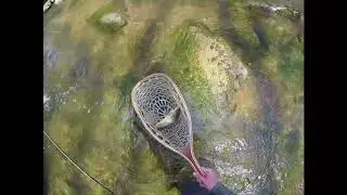 Conewago Creek PA Trip