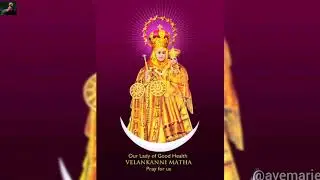 amma mariye vaazhga song