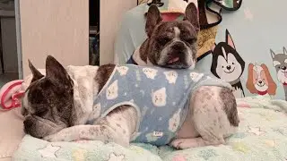 #Rainy Saturday,can't go to the Dog's park.