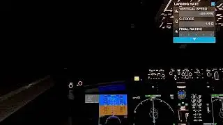 Boeing 737 max 8 autoland in 0.3 s/m visibility 
