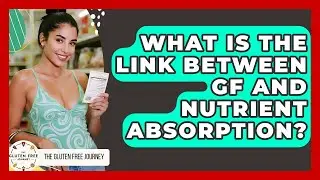 What Is The Link Between GF And Nutrient Absorption? - Gluten Free Journey