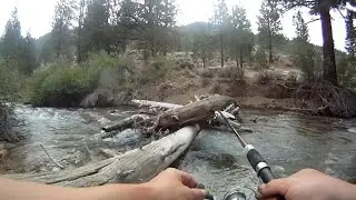 Creek Fishing for Brown Trout Using Worms at Robinson Creek, California