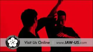 WingChun Flow
