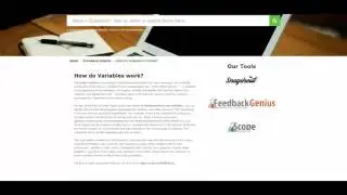 Amazon FBA Feedback and Reviews