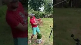 Making wine inside a watermelon?
