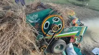 Canola harvesting time in Pakistan |Threshing| Village life | Daily Routine of Village people