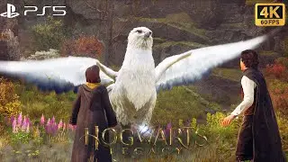 [4K 60FPS UHD] Hogwarts Legacy - Part 36 - Beasts Class (Main Quest) - PS5 4K Gameplay